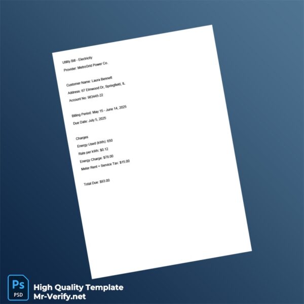 USA MetroGrid Power Co Editable Electricity Bill Template in Word and PDF formats