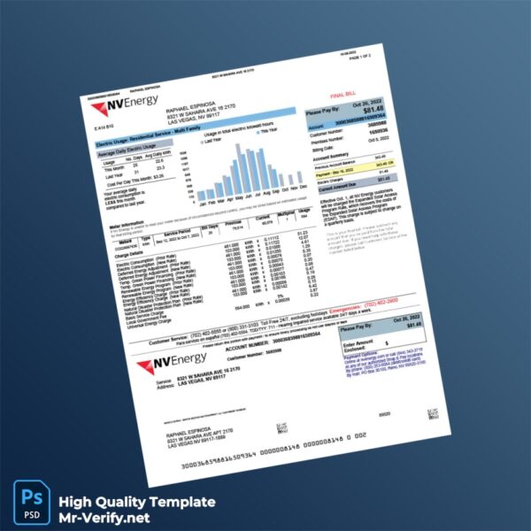 USA NV Energy Editable Electricity Bill Template in Word and PDF formats 2 page