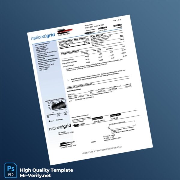 USA National Grid Editable Electricity Bill Template in Word and PDF formats 3 page
