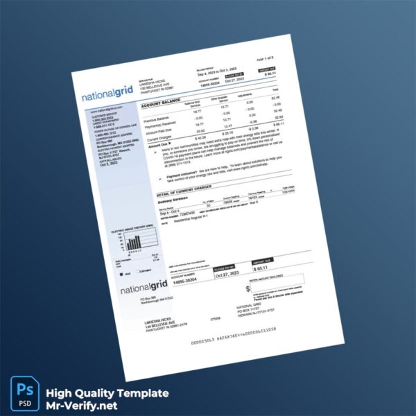 USA National Grid Editable Electricity Bill Template in Word and PDF formats 3 page