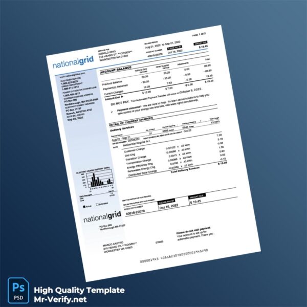 USA National Grid Editable Utility Bill Template in Word and PDF formats 2 page
