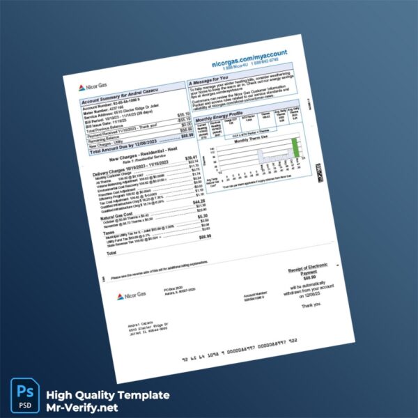 USA Nicor Gas Editable Gas Bill Template in Word and PDF formats 2 page