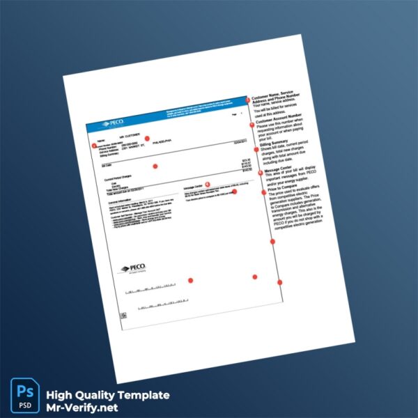 USA PECO Editable Utility Bill Template in Word and PDF formats 2 page