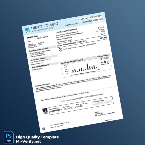 USA PG E Editable Energy Statement Template in Word and PDF formats