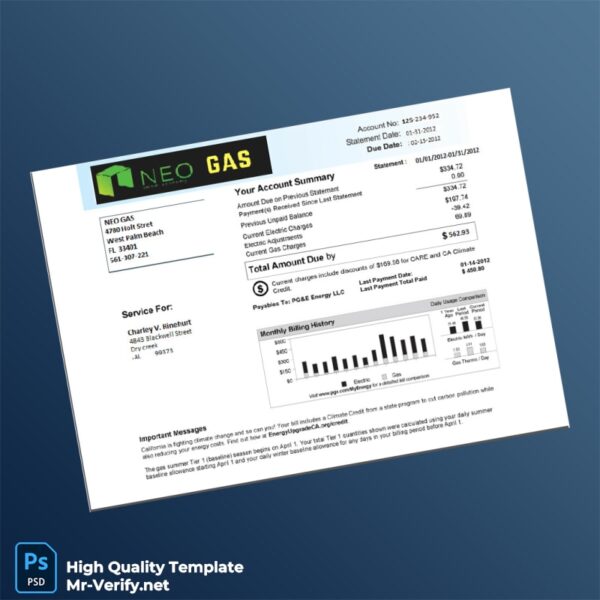 USA PG E Energy LLC Editable Utility Bill Template in Word and PDF formats
