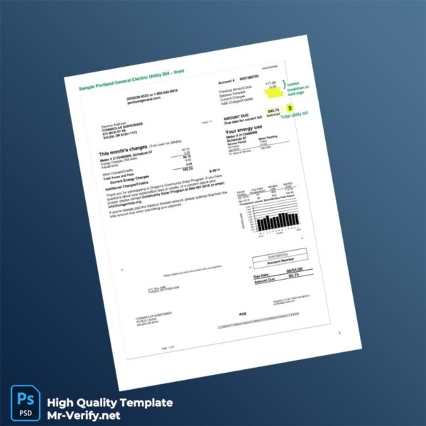USA PGE Editable Utility Bill Template in Word and PDF formats 2 page