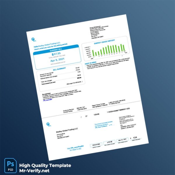 USA Shafiey Global Trading LLC Editable Utility Bill Template in Word and PDF formats 2 page