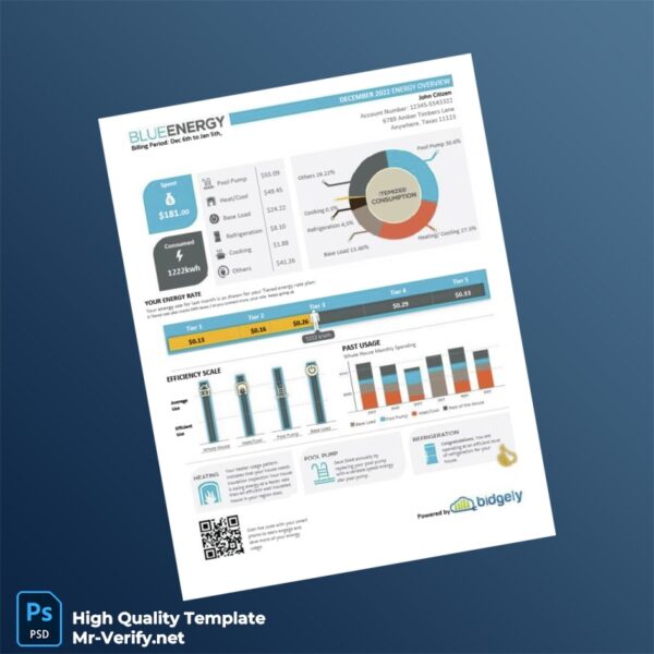 USA Texas Blue Energy Editable Utility Bill Template in Word and PDF formats 2 page