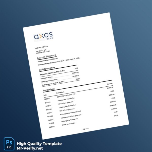 USA The Bancorp Bank Account Statement Template in Word and PDF formats 2 page