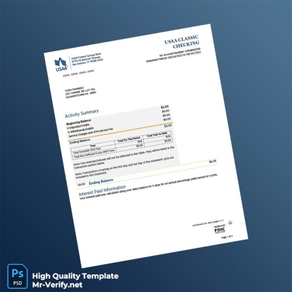 USA USAA Bank Statement Template in Word and PDF formats 2 page