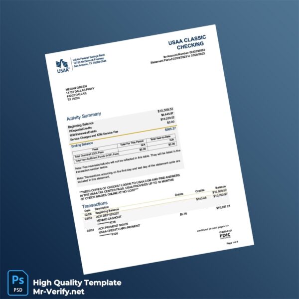 USA USAA Federal Savings Bank Bank Statement Template in Word and PDF formats 4 page