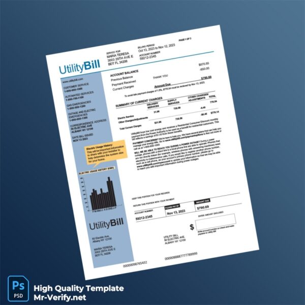 USA Utility Bill Editable Utility Bill Template in Word and PDF formats 3 page