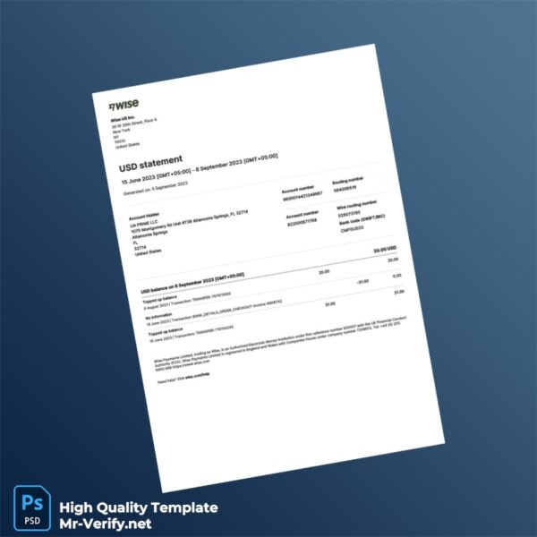 USA Wise Payments Limited Business Bank Statement Template in Word and PDF formats