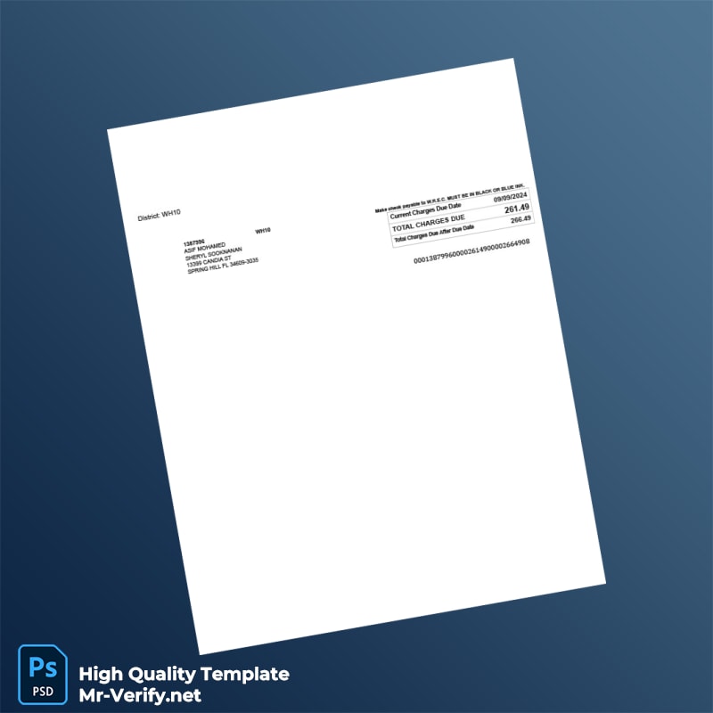 USA Withlacoochee River Electric Cooperative Editable Electric Bill Template in Word and PDF formats 2 page USA Withlacoochee River Electric Cooperative Editable Electric Bill Template in Word and PDF formats 2 page