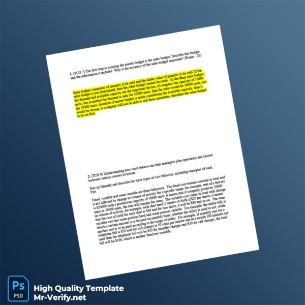 United States Editable Budget Template in Word and PDF formats 3 page