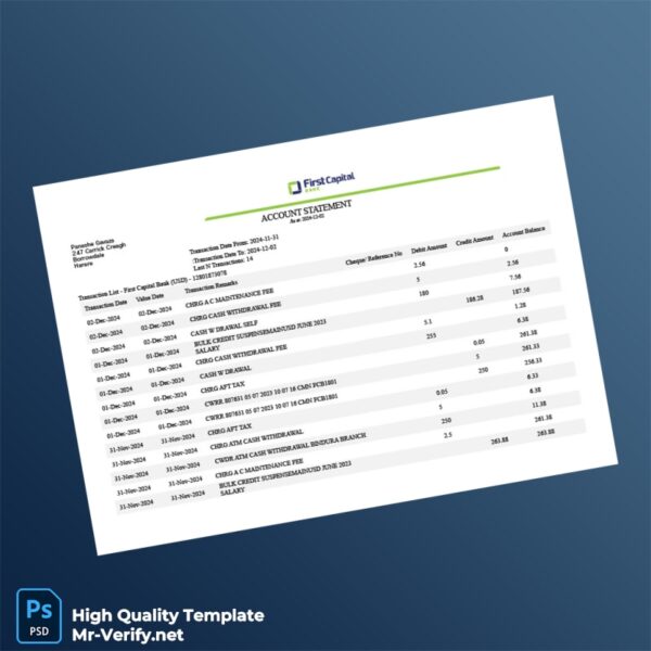 Zimbabwe Credit Bank Statement Template in Word and PDF formats 2 page