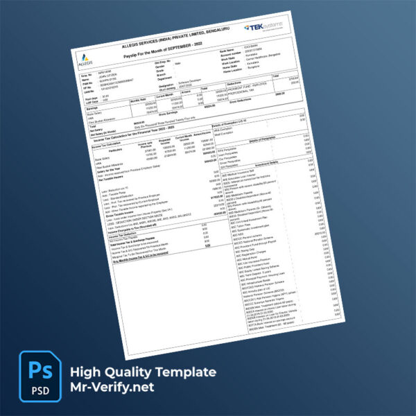 Allegis Services (India) Private Limited payslip word and pdf template