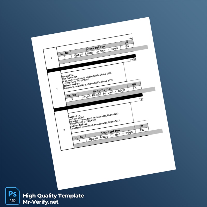 Bangladesh M_S Tasnim Ent Invoice Template in Word and PDF formats 2 page Bangladesh M_S Tasnim Ent Invoice Template in Word and PDF formats 2 page