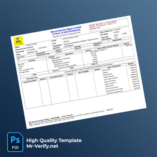 Bharat Sanchar Nigam Limited payslip word and pdf template