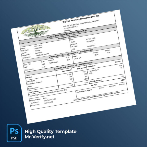 Big Tree Resource Management Pvt Ltd payslip word and pdf template mrverify 600x600 - Buy Verified Accounts