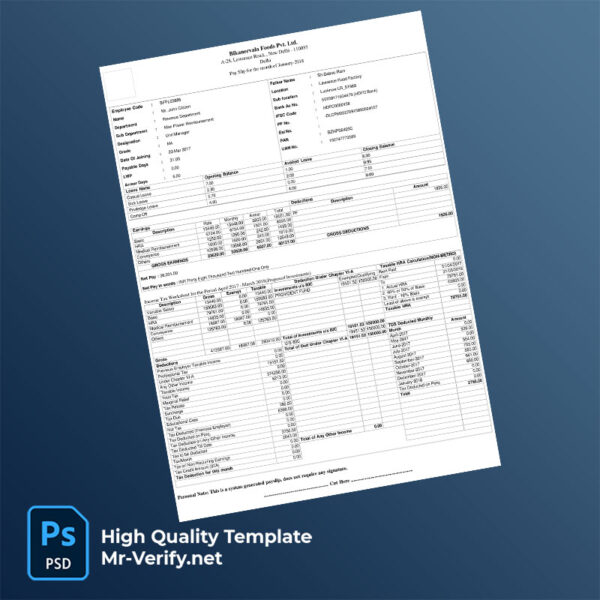Bikanervala Foods Pvt Ltd payslip word and pdf template mrverify 600x600 - Buy Verified Accounts
