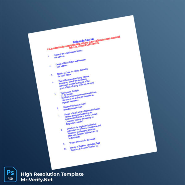 Business Registration Certificate Word and Pdf Template 4 page