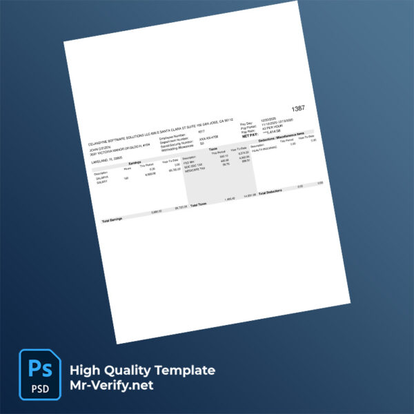 Celandyne Software Solutions LLC earning statement word and pdf template Celandyne Software Solutions LLC earning statement word and pdf template