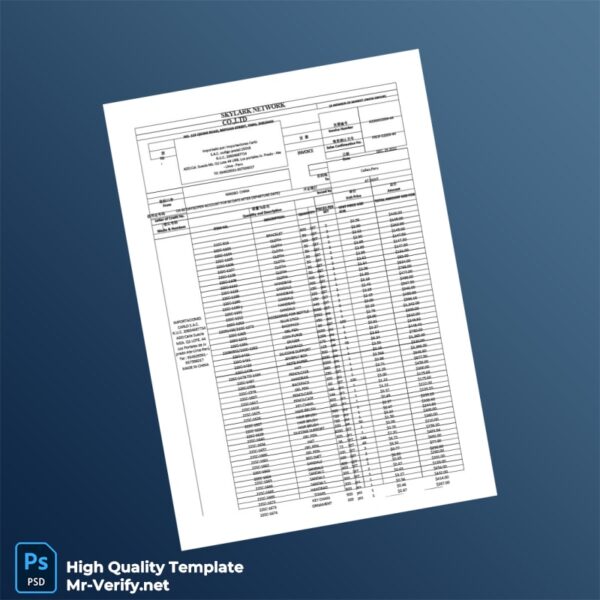 China Skylark Network Co Ltd Invoice Template in Word and PDF formats 5 page