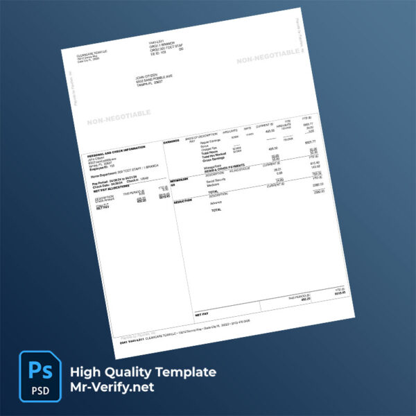 Cleancare Team LLC pay stub word and pdf template