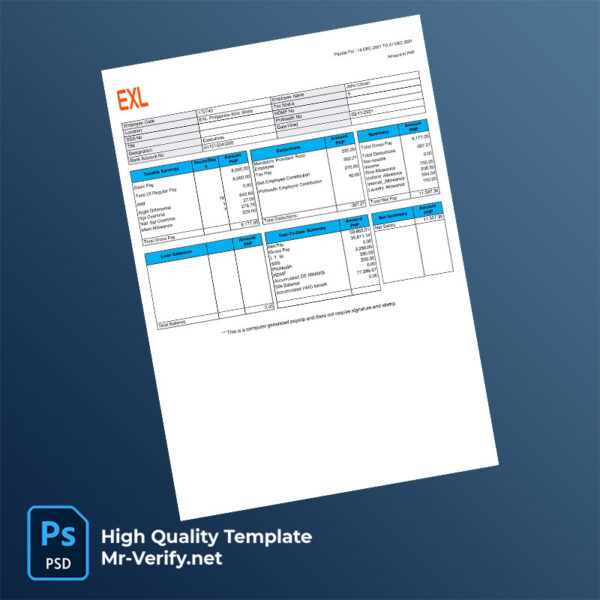 EXL payslip word and pdf template