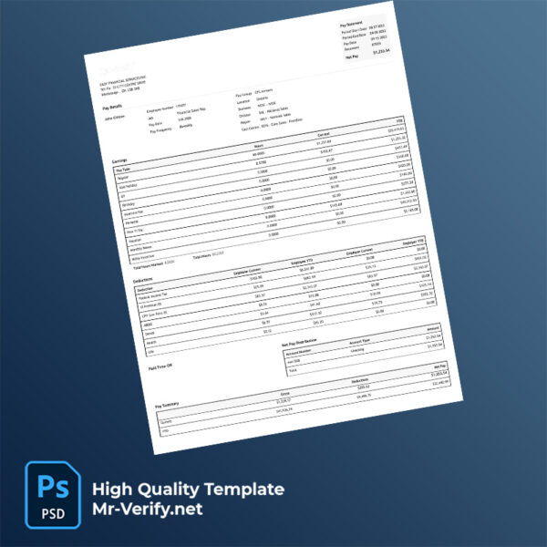 Easy Financial Services Inc pay stub word and pdf template