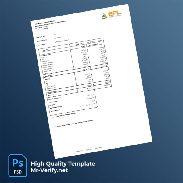 Electronica Finance Limited payslip word and pdf template mrverify 600x600 - Buy Verified Accounts