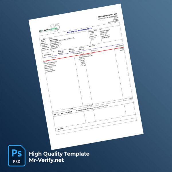 Feedback Infra Pvt Ltd payslip word and pdf template