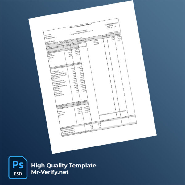 Google Services LLC earning statement word and pdf template