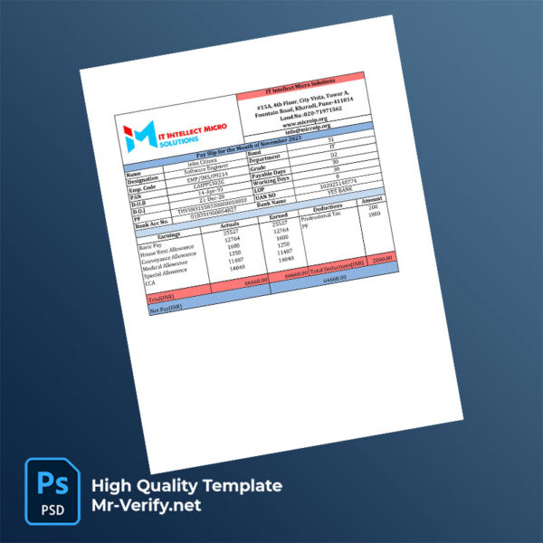 IT Intellect Micro Solutions payslip word and pdf template