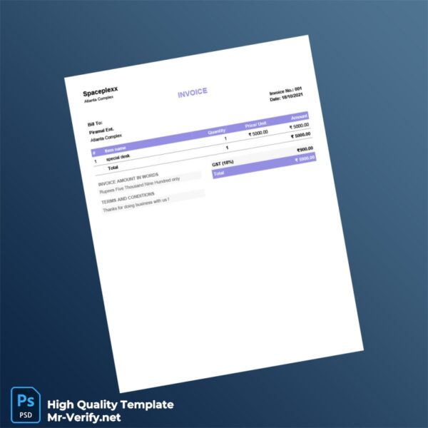 India Spaceplexx Invoice Template in Word and PDF formats
