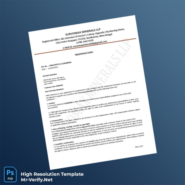 Editable India Survomax Minerals LLP Appointment Letter Word and Pdf Template 6 page