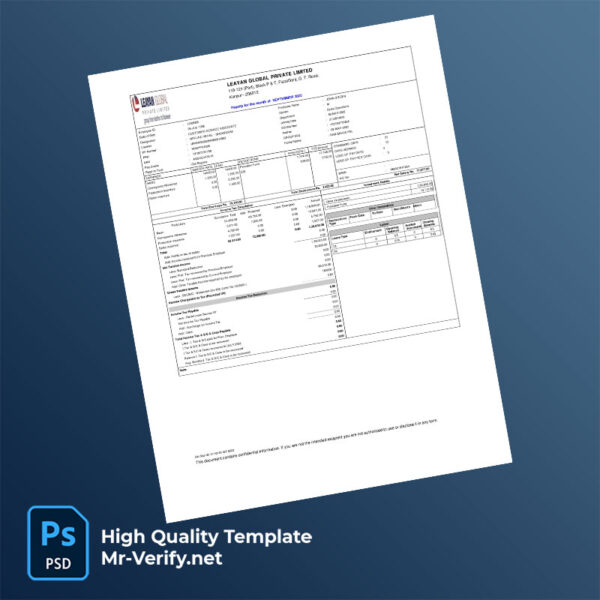 Leayan Global Private Limited payslip word and pdf template mrverify 600x600 - Buy Verified Accounts