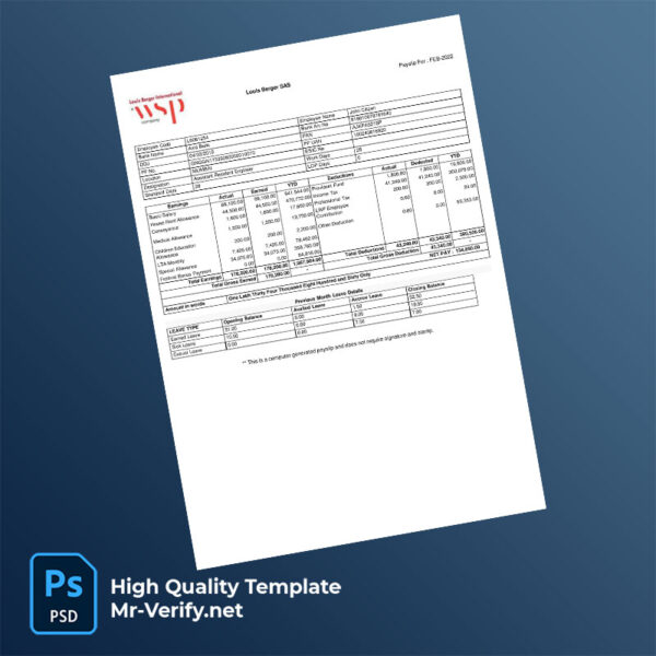Louis Berger International payslip word and pdf template