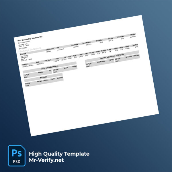 Next Gen Staffing Solutions LLC earning statement word and pdf template
