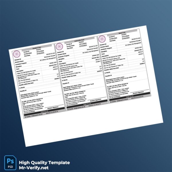 Pakistan Invoice Template in Word and PDF formats