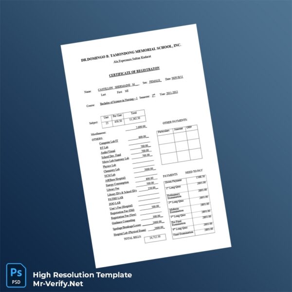 Editable Philippines Dr Domingo B Tamondong Memorial School Registration Certificate Word and Pdf Template Editable Philippines Dr Domingo B Tamondong Memorial School Registration Certificate Word and Pdf Template