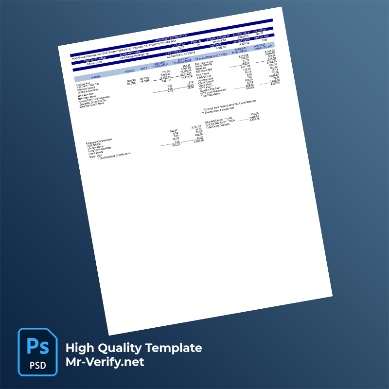 RAE Group Holdings Inc pay stub word and pdf template RAE Group Holdings Inc pay stub word and pdf template