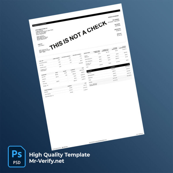 SFR3 Renovation LLC earning statement word and pdf template