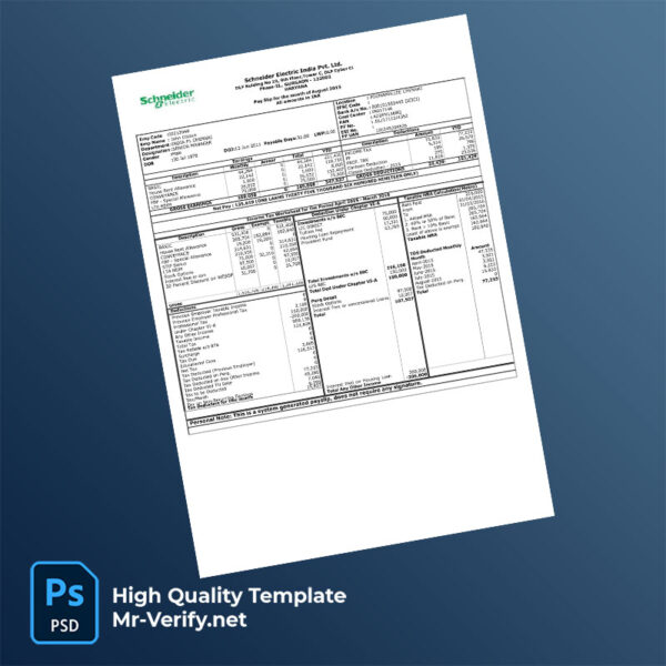 Schneider Electric India Pvt Ltd payslip word and pdf template