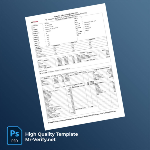 Shyam Sel & Power Ltd payslip word and pdf template