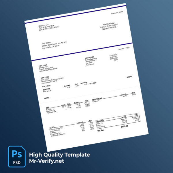 Slab Co LLC pay stub word and pdf template