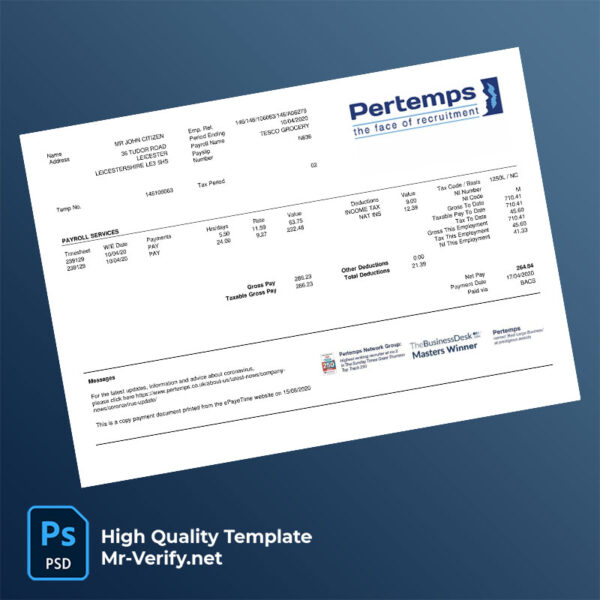 TESCO Grocery pay stub word and pdf template