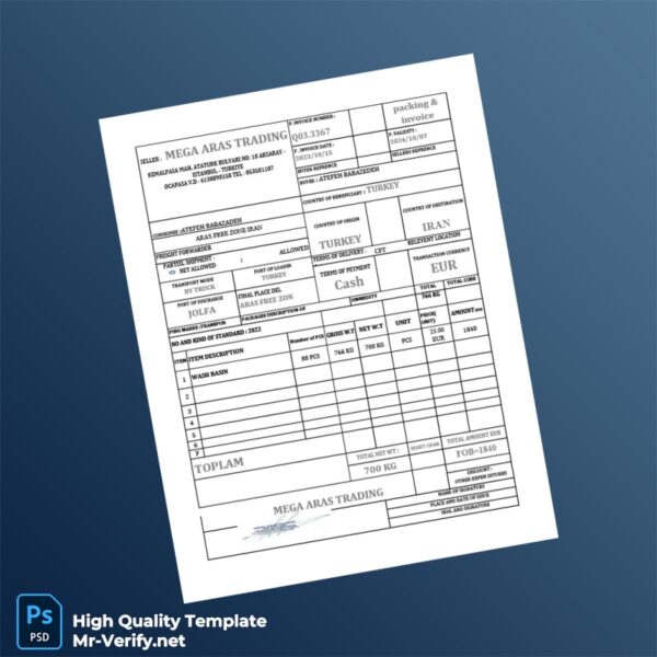 Turkey Mega Aras Trading Invoice Template in Word and PDF formats 2 page