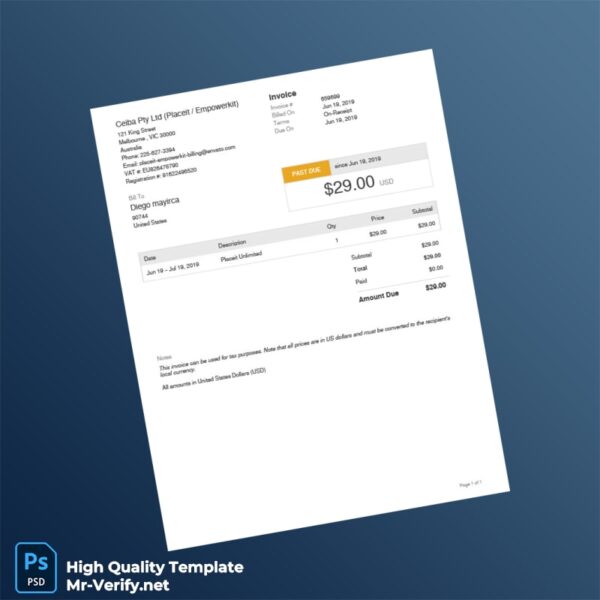 USA Ceiba Pty Ltd Invoice Template in Word and PDF formats